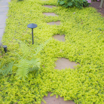 Decatur Back Yard Makeover