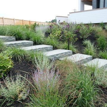 Modern Oceanfront Landscape - Cohasset