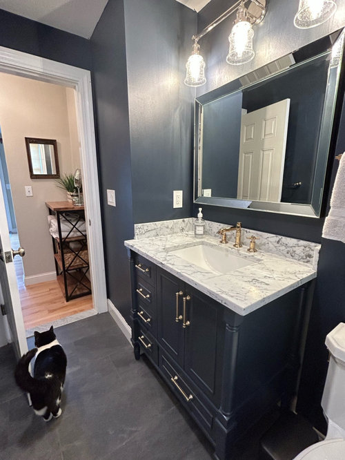 Hale Navy Bathroom Design Dilemma