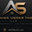 Anything Under The Sun LLC
