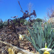 Ulises Zamora's photo