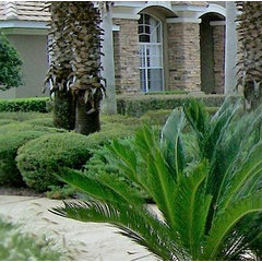 Elliott And Company Turf & Landscaping
