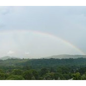 Joanne Goodman's photo