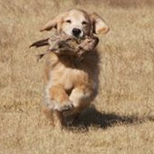 Sharon Shilkoff's photo
