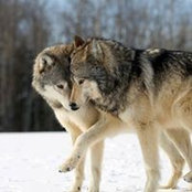 Sabreen Salem's photo