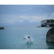 Scott Garris's photo