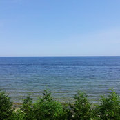 Amy Russell's photo