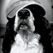 Brad Brevet's photo