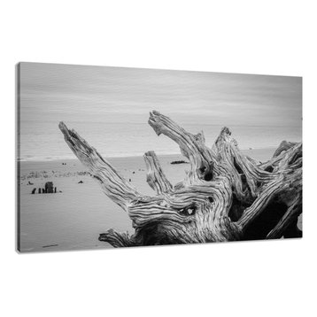 Beach Driftwood Wall Art: Driftwood 4 Black & White Canvas, 24x36