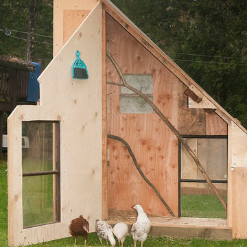 Chicken Coop