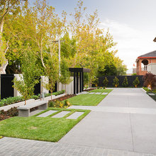lawn