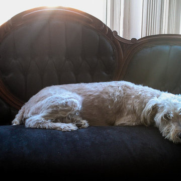 Hallie and Mark Burrier's rowhouse, Frederick, MD