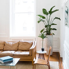 Decor/General Aesthetic