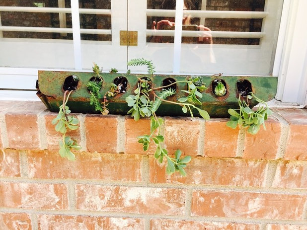 13 Summer Container Gardens From Houzz Readers