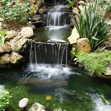 Custom Pond & Water Feature Installations