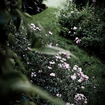 Architetto Silvia Goldoni | Giardino in movimento, Milano