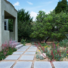 Garden Design