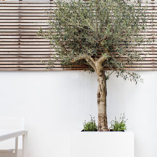 Idée de décoration pour un petit jardin à la française arrière design l'été avec un mur de soutènement, une exposition ensoleillée et des pavés en pierre naturelle.
