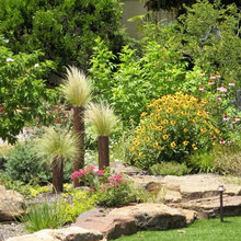 Pond REplacement