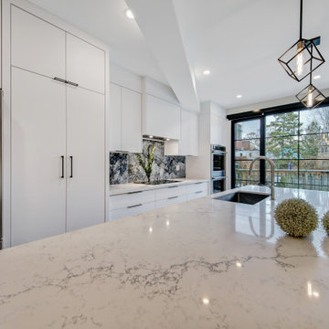 Toronto Main Floor Renovation