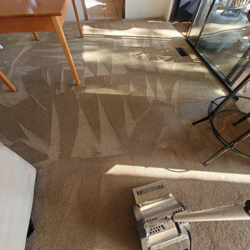 Carpet Cleaning Urine Removal Feces Removal Anmore BC Canada