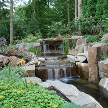 Ravinia landscape