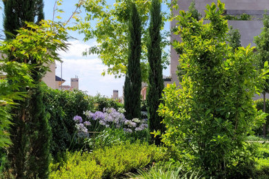 Design ideas for a mediterranean landscaping in Madrid.
