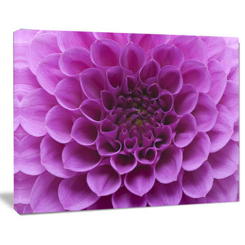 Large Light Purple Flower and Petals, Floral Canvas Art Print, 60"x28"