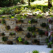 Landscape Ideas
