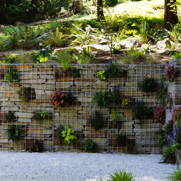 Contemporary Wooded Garden