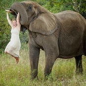 Jen Cowitz's photo