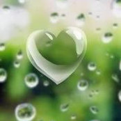 Catherine Alexander's photo
