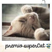 Laura Fava's photo