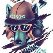 Da Wolfs billede