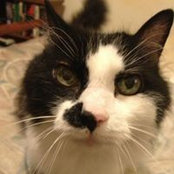 Elise Garza's photo