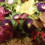 Marie Baio's photo