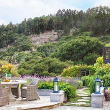 Landscape Ideas