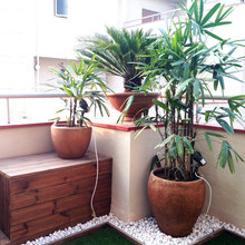 6 Mistakes to Avoid in Your Balcony Garden