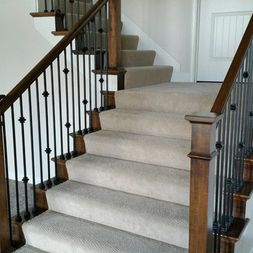 Our Work