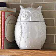 Guest Picks: The Wise Old Owl