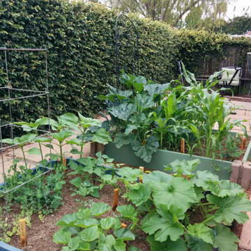 Family Gardens - Room to Play, Learn & Grow