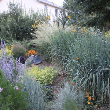 Fun, Flowers, & Food at El Rancho Calypso