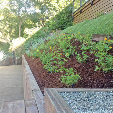Unique Hillside Landscaping Design