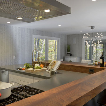 Lakeside Modern Industrial in Westchester
