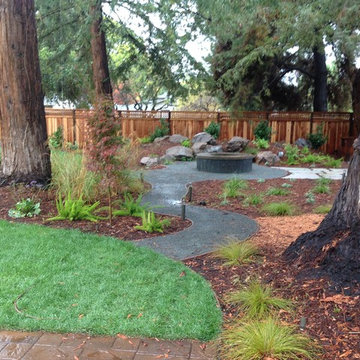 Willow Glen Modern- DG walkway, planted with a custom firepit