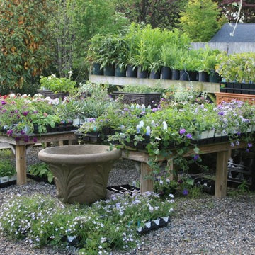 Oliver Nurseries Perennial Plants