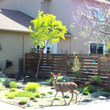 Contemporary Landscaping