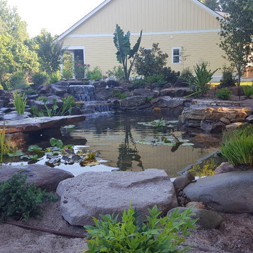 ECOSYSTEM KOI PONDS