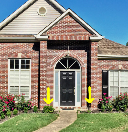 HELP tree/shrub to frame front door