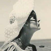 Bev Lane's photo
